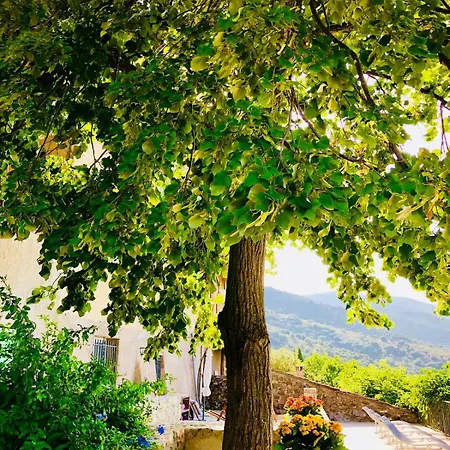 Βίλα Casa Di L'aghja, Authentique Maison De Village Corse Novella